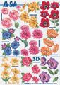 4169880 Bloemen