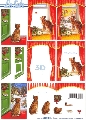 650010 Kerstvenster met poes