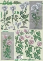 777055 Bloemen