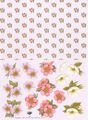 2254 Rose witte bloemen
