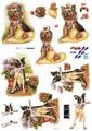 821550 Hond met hoed en krant