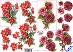 8215165 Dahlia's