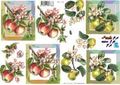 8215139 Appels en peren