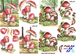 8215173 Paddestoelen