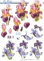 8215347 Rode en blauwe iris