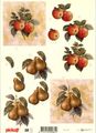 053 Appels en peren