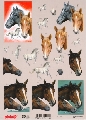 097 Paard