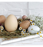 Servetten - Pastel Eggs 5st