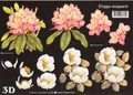 416946 Bloemen