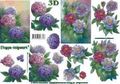4169463 Bloemen