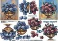 4169472 Hortensia op schaal