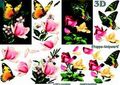 4169614 Vlinder en rozen