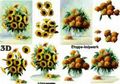 4169644 Zonnebloem en hortensia
