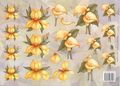 2273 Gele bloemen