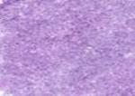 C260 Derwent Coloursoft Bright Lilac