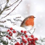 Servetten - Vogel in de sneeuw - 5st