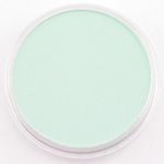 640.8 Pan pastel Permanent green tint