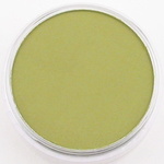 680.3 Pan pastel Bright yel green shade