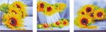 Dd14.001 Diamond Dotz - Sunflower days