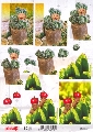 117 Knipvel - Baby met kaktus