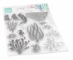 Cs1062 Clear stamp - Colorfull Coral