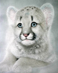 Diamond Painting Witte leeuw - 30x40cm 