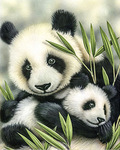 Diamond Painting Panda met jong 30x40cm