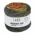 Lang Yarns - Merino 120 Degrade kleur 3