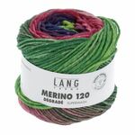 Lang Yarns - Merino 120 Degrade kleur 8
