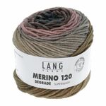 Lang Yarns - Merino 120 Degrade kleur 6