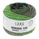 Lang Yarns - Merino 120 Degrade kleur 2
