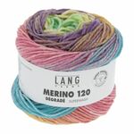 Lang Yarns - Merino 120 Degrade kleur 1