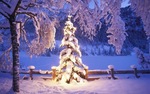 Diamond Painting - kerstboom met sneeuw 