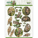 Cd11564 Ad - Amazing Owls - Forest Owls 
