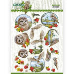 Cd11565 Ad - Amazing Owls - Meadow Owls