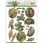Uitdrukvel Ad Amazing Owls - Forest Owls