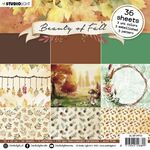 Studio light - Paper pad Beauty of fall