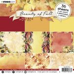 Studio light - Paper pad Beauty of fall