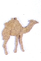 Mdf ornament kameel