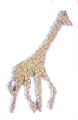 Mdf ornament giraf