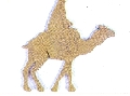 Mdf ornament kameel met ruiter