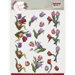 YC - Graceful Flowers - Colourful Tulips