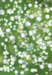 Vellum witte bloemetjes - A4