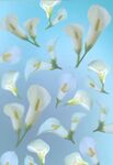 Vellum Witte bloemen - A4