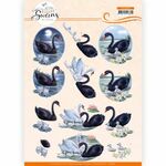 Knipvel AD - Elegant Swans - Black Swans