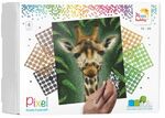 Pixelhobby - Giraffe met 4 basisplaten