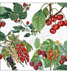 Servetten - Fresh Fruits 5st