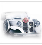 Servetten - Wedding Car 5st