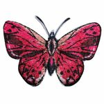 924363 Strijkapplicatie vlinder fuchsia
