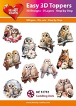 3D Easy design - Cuddling Owls 10st